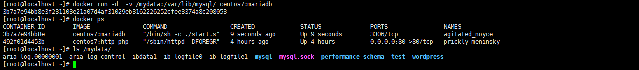 基于Docker安装WordPress博客系统
