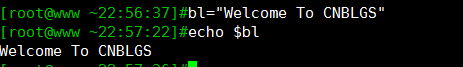 linux系统下echo命令的简单用法和实例