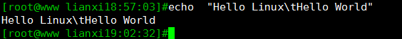 linux系统下echo命令的简单用法和实例